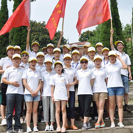 industria salutaris armorum